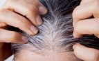 canas