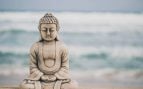frase de Buddha