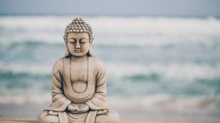frase de Buddha