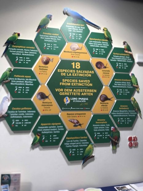 Especies salvadas extinción Loro Parque