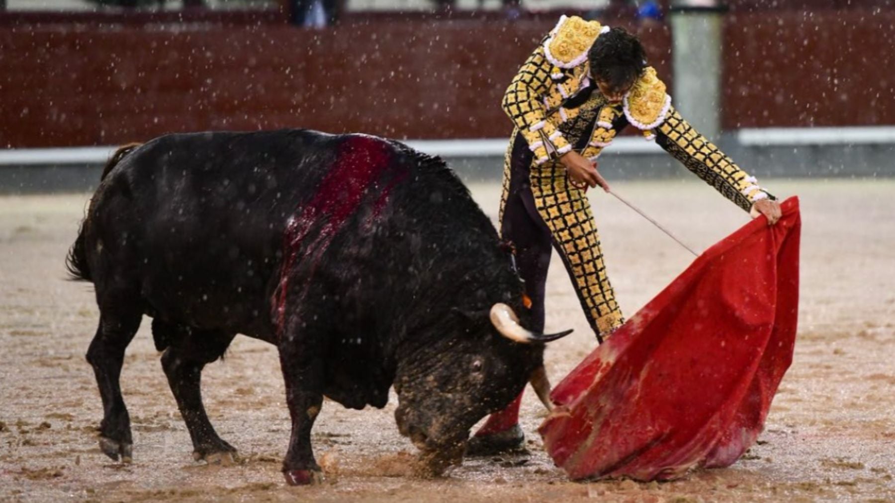 Toros y tormenta: la tarde heroica de Talavante, Roca Rey y Víctor Hernández