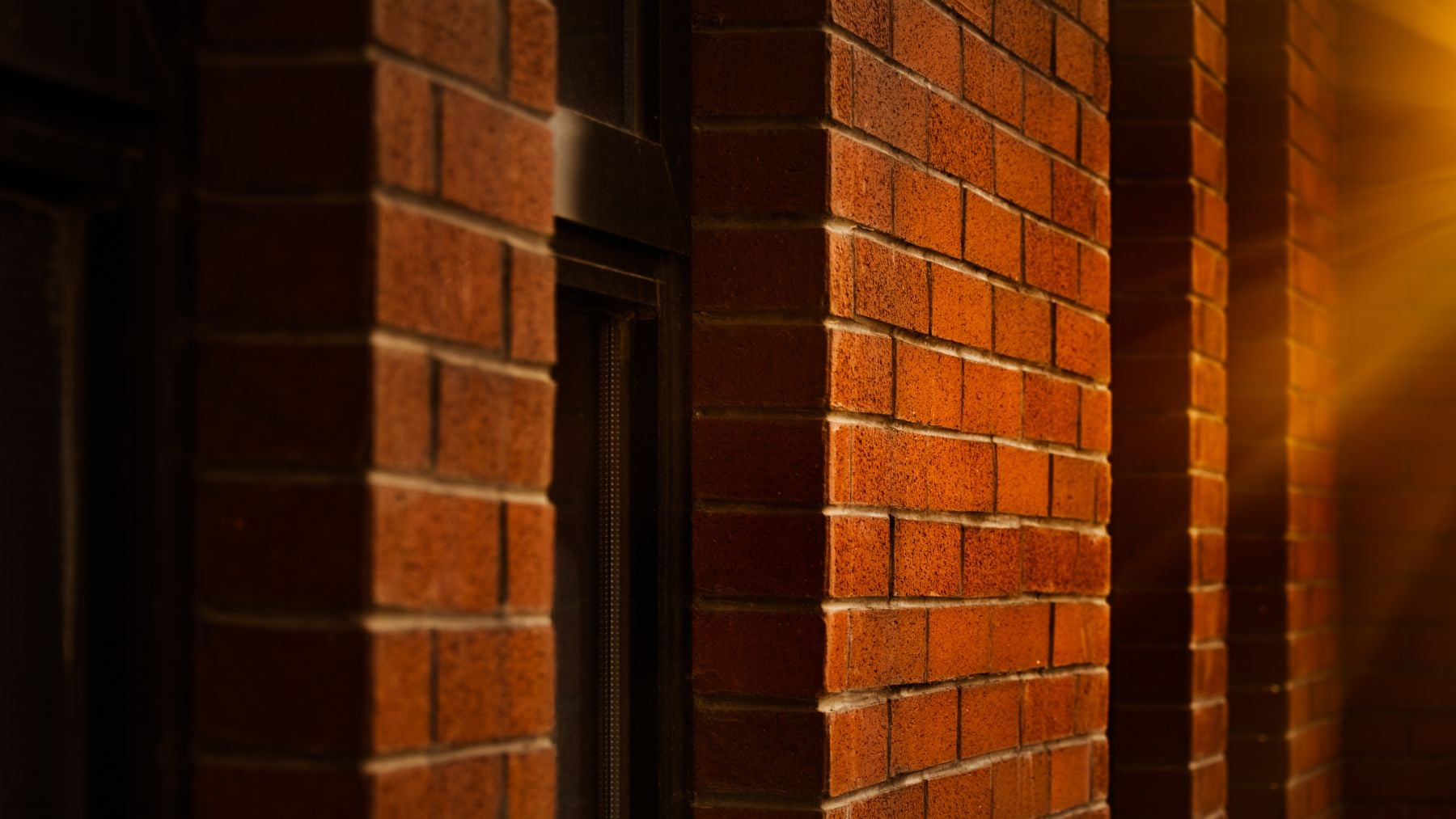 Crean un ladrillo para cambiar la historia de las ciudades: puede reducir hasta 9 grados la temperatura en los edificios