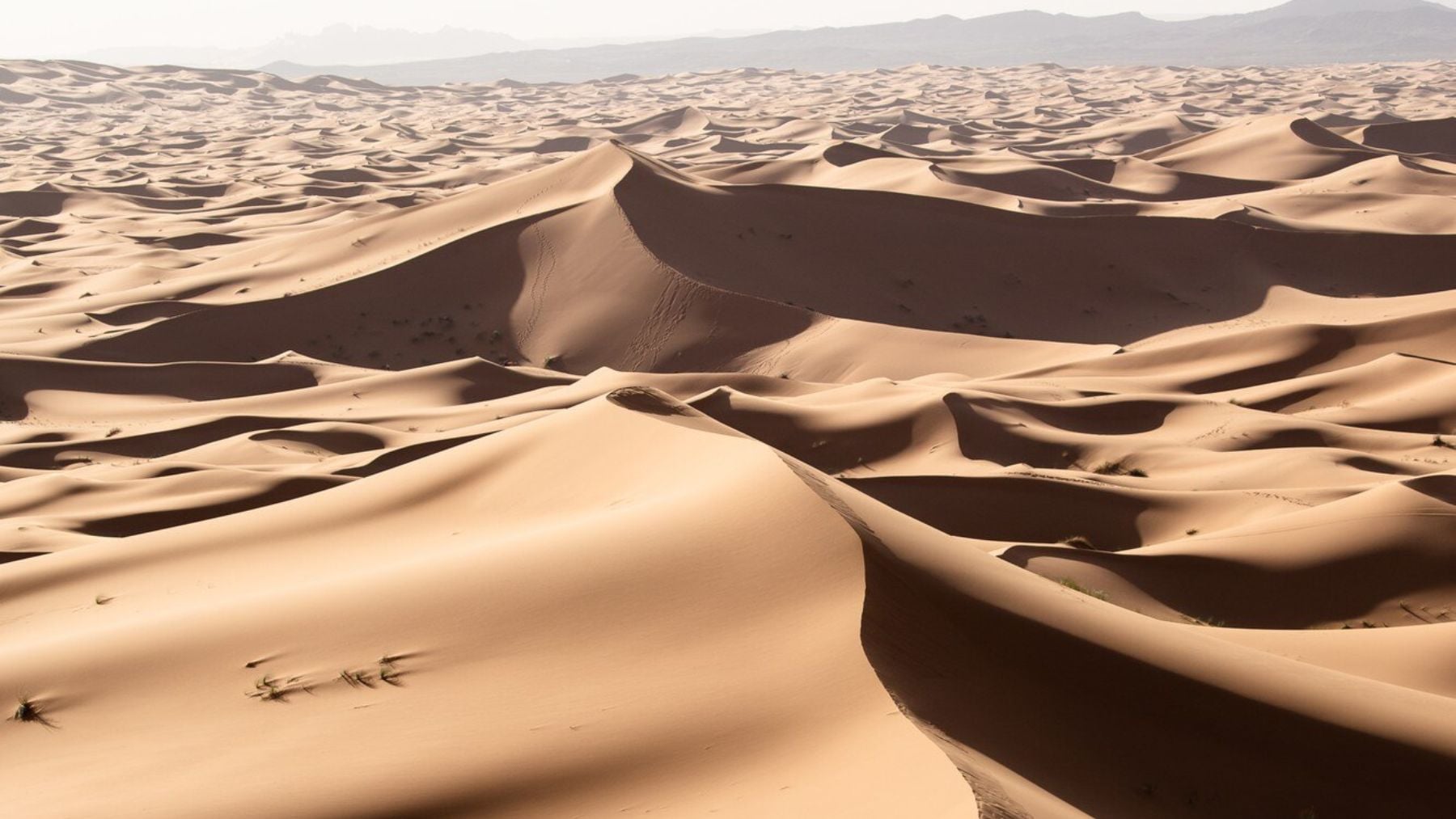 Suena raro, pero la ciencia lo avala: Arabia Saudí importa toneladas de arena para hormigón aunque está rodeada por el desierto