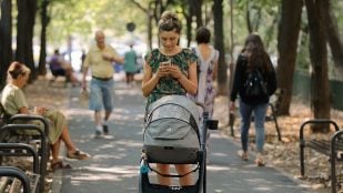 Ola de calor en Andalucía, enfriar ciudades en verano, consejo científico contra noches tropicales, noche tropical en Andalucía, uso de biomasa contra la ola de calor.