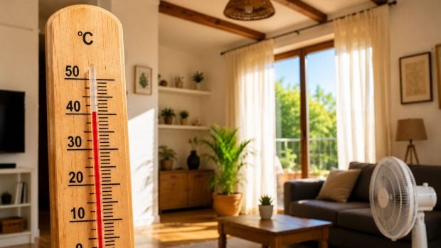 Ola de calor. Generado por IA. 