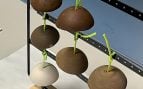 instrumentos musicales con un material de la luna