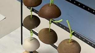 instrumentos musicales con un material de la luna