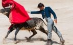 Novilladas nocturnas en Sevilla: el futuro del toreo se cita en la Real Maestranza durante todos los jueves de julio