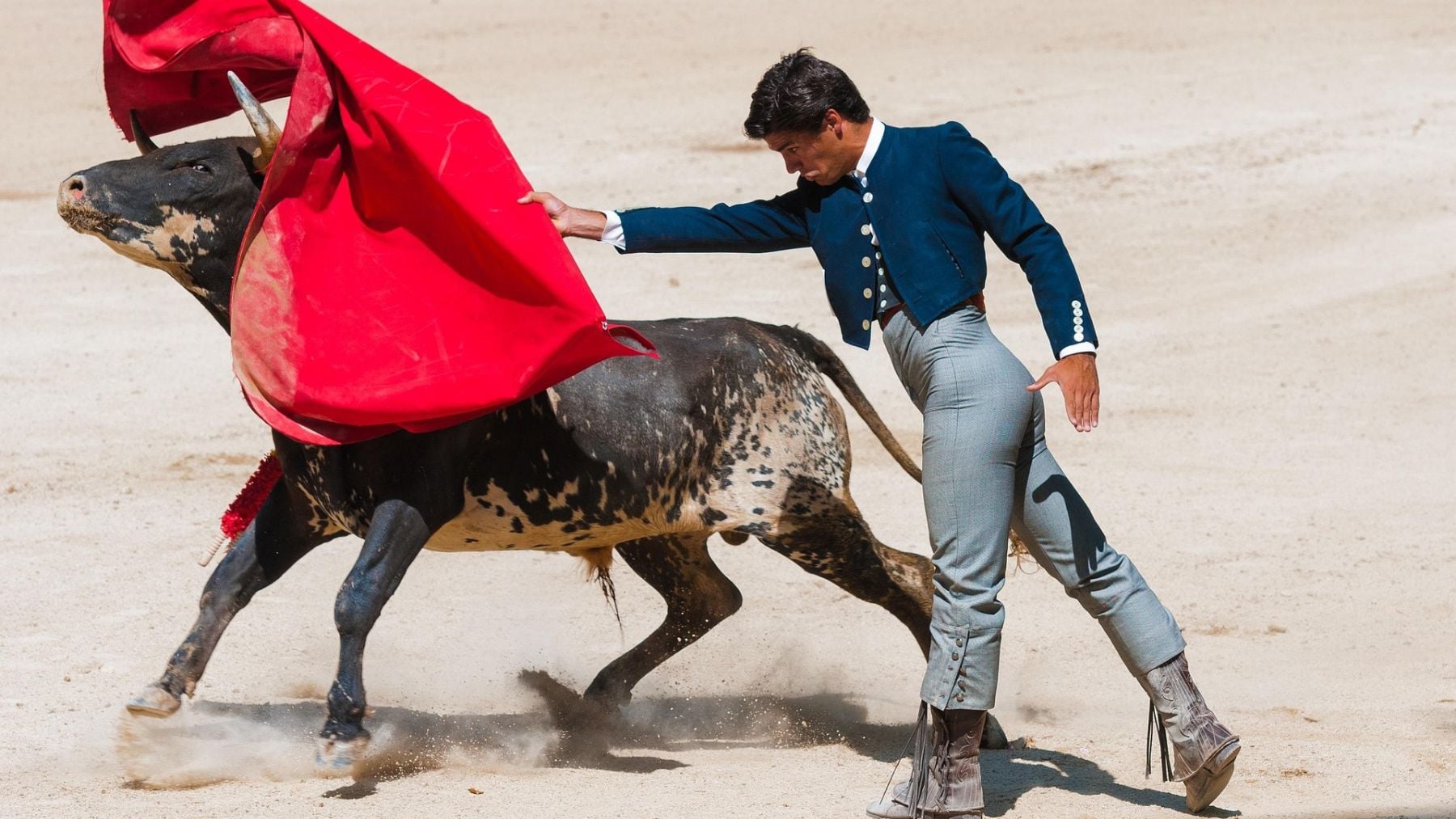 Novilladas nocturnas en Sevilla: el futuro del toreo se cita en la Real Maestranza durante todos los jueves de julio