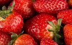 Fresas. Foto: Freepik - @mdjaff