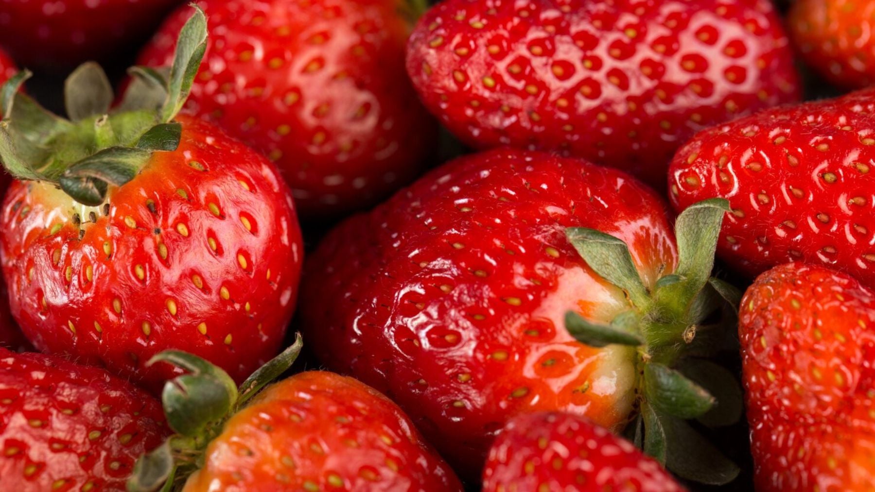 Nadie lo vio venir: una investigadora de Málaga pone la IA al servicio de la agricultura para lograr fresas más sabrosas y aromáticas