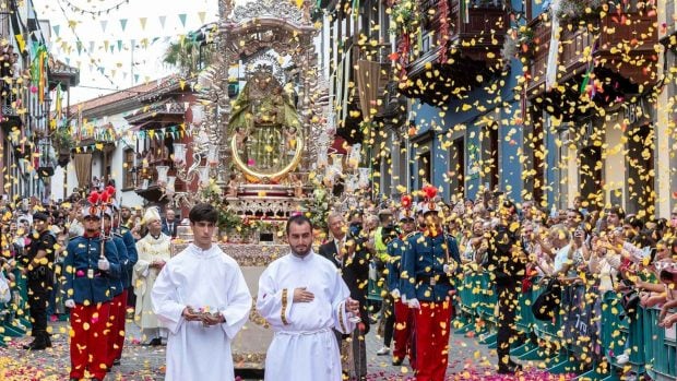 Romería Ofrenda del Pino