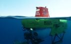 Saltos de alegría entre los biólogos: una expedición oceánica descubre 1.121 especies marinas jamás vistas hasta ahora por la ciencia