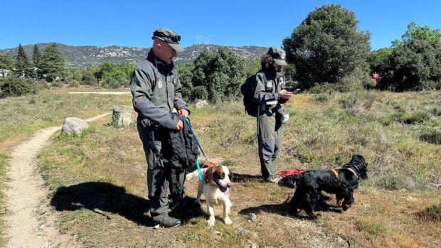 agentes forestales Madrid