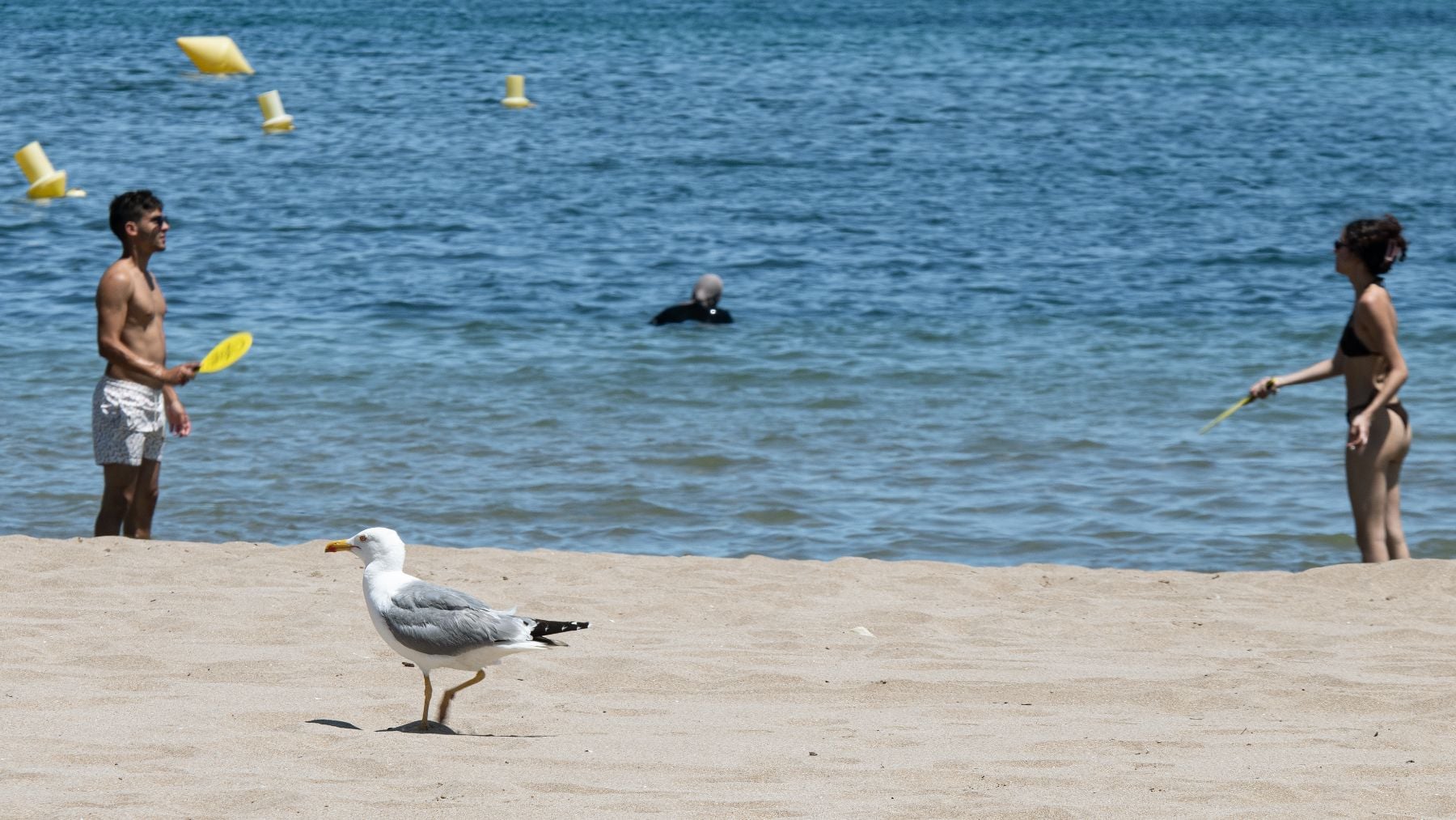 Primera ola de calor del verano en España: el aviso de la AEMET que anuncia cuándo empieza y qué zonas sufrirán las temperaturas más altas