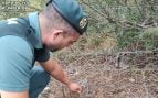 Guardia Civil