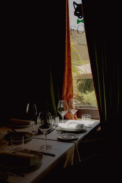 Restaurante FOX en novedades COOL