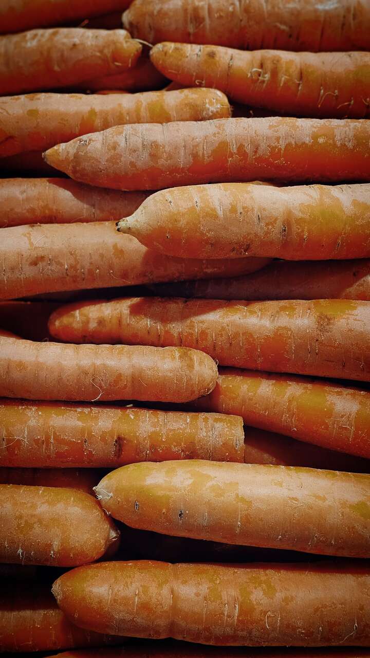 ingredientes cosmetica nutricion