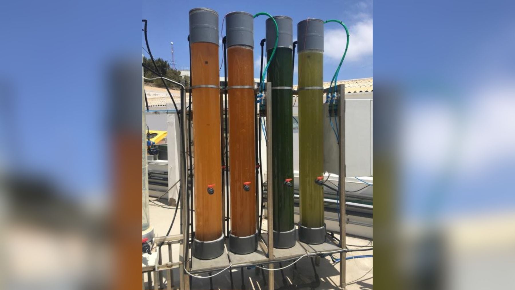 Hito sin precedentes de la biociencia española: Una universidad canaria produce biomasa con microalgas de aguas residuales y logra una patente en EEUU