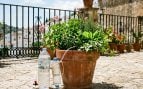 Truco para las plantas en verano, conocido como Kondenskompressor