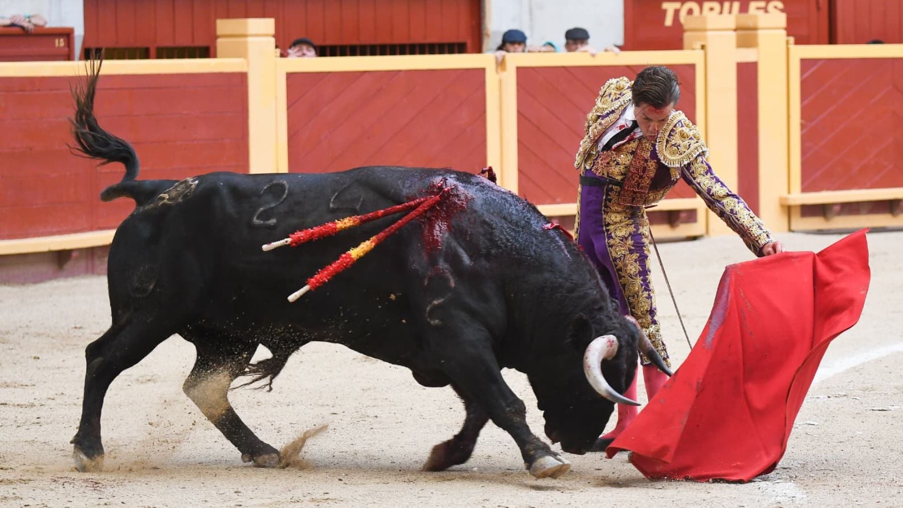 El torero Tomás Angulo herido muy grave tras una cogida en la plaza de Moralzarzal