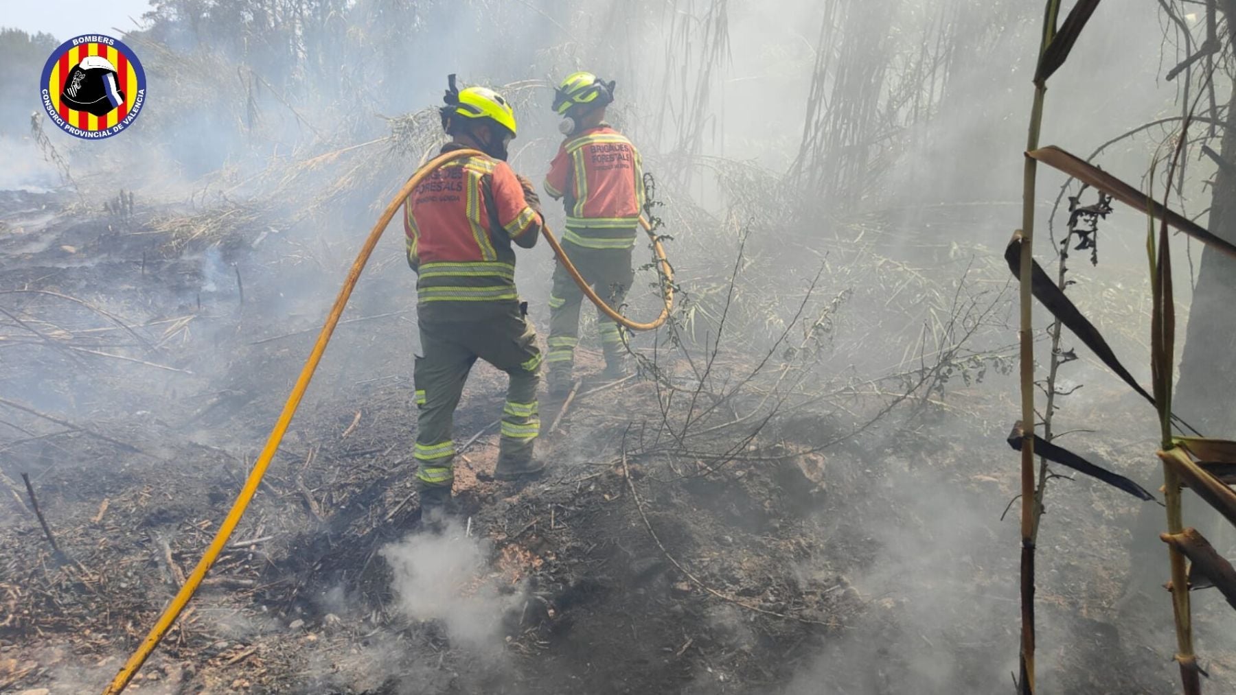 Un incendio forestal en Estivella obliga a cerrar el puerto de Sagunto y cortar la carretera N234