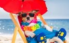 Playas para perros en Andalucía