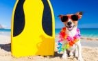 Playas para perros en Murcia