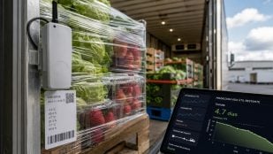 Uso de IA contra el desperdicio alimentario, investigación IA UPTC, IA en transporte de alimentos.