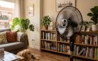 ventilador