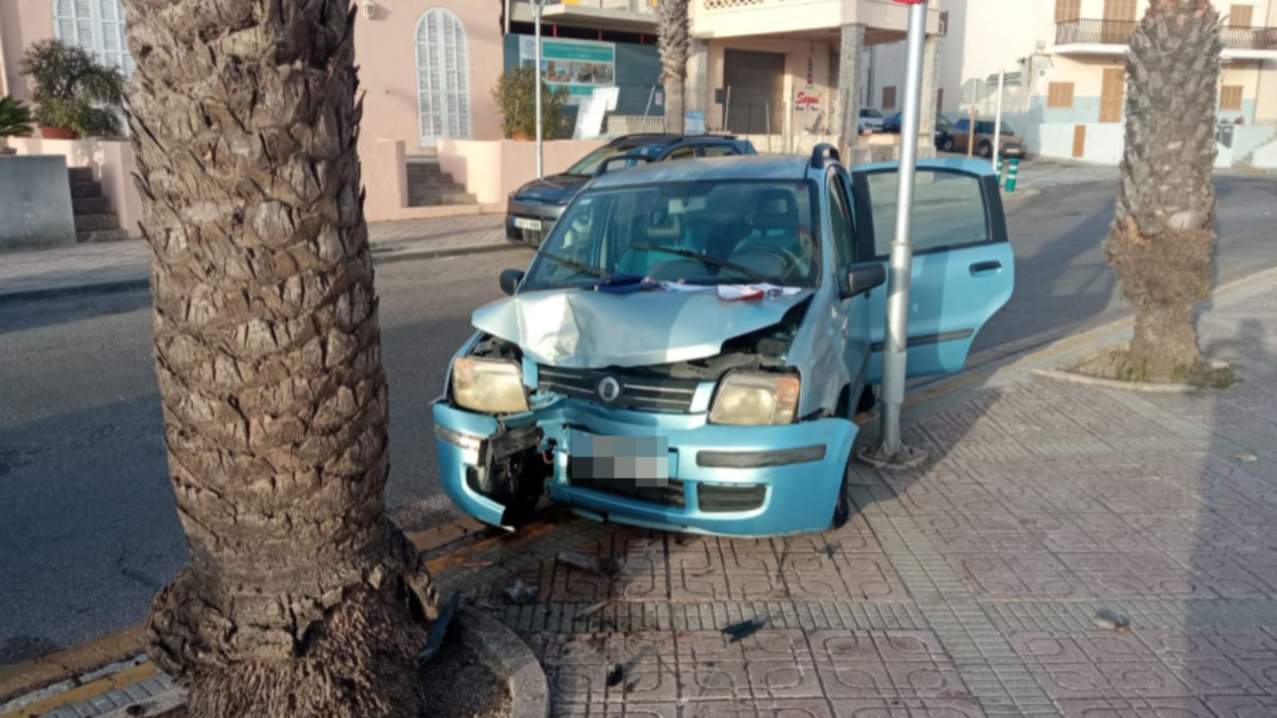 Imagen del vehículo tras estamparse contra una palmera.