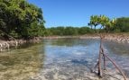 Un nuevo estudio realizado por investigadores de la Universidad de Tulane ha descubierto que después de décadas de pérdidas por deforestación y desarrollo costero, los manglares se están expandiendo en muchas partes del mundo, como Estados Unidos. Costa del Golfo, incluida Luisiana, así como China y Australia. También están prosperando en el atolón Ouvéa, fotografiado aquí en Nueva Caledonia. (Foto de Daniel Friess - Universidad de Tulane)