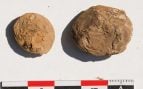 Patatas deshidratadas que los incas dejaron