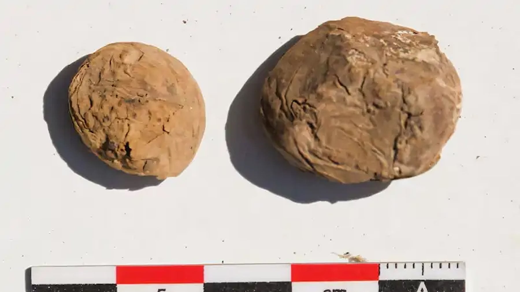Los arqueólogos no pueden creérselo: encuentran en Perú dos patatas deshidratadas que los incas dejaron dentro de una vasija hace 500 años