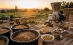 bagazo, alimento, gastronomía, cerveza