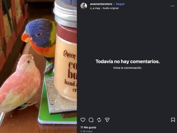 Ana Toro en su cuenta de Instagram.