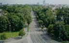 Ciudades, árboles, naturaleza