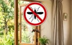 Mosquitos