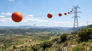 Bolas naranjas