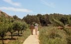 ALTEA