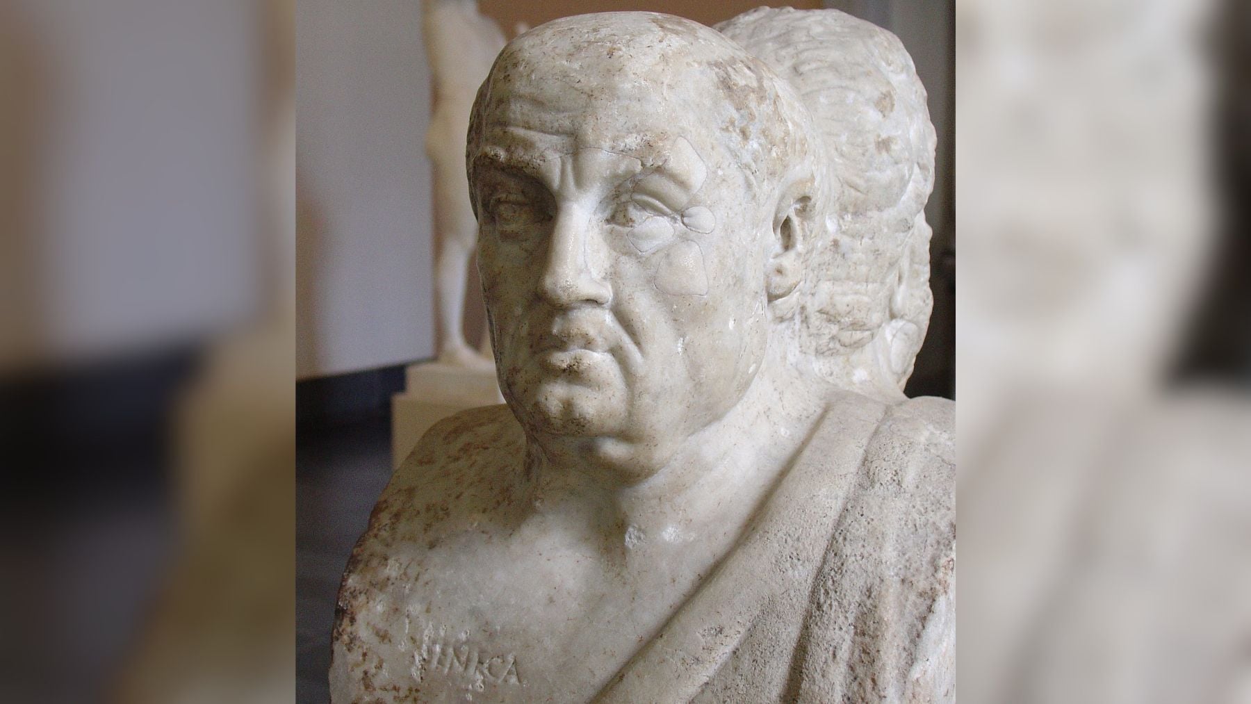 Busto de Seneca. Foto:  I, Calidius, CC BY-SA 3.0, vía Wikimedia Commons