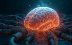Neuronas en el cerebro