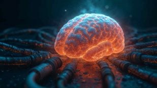 Neuronas en el cerebro