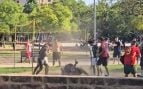 paraguayos pelea parque Wifi Palma
