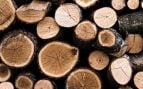Residuos forestales. Foto: Freepik