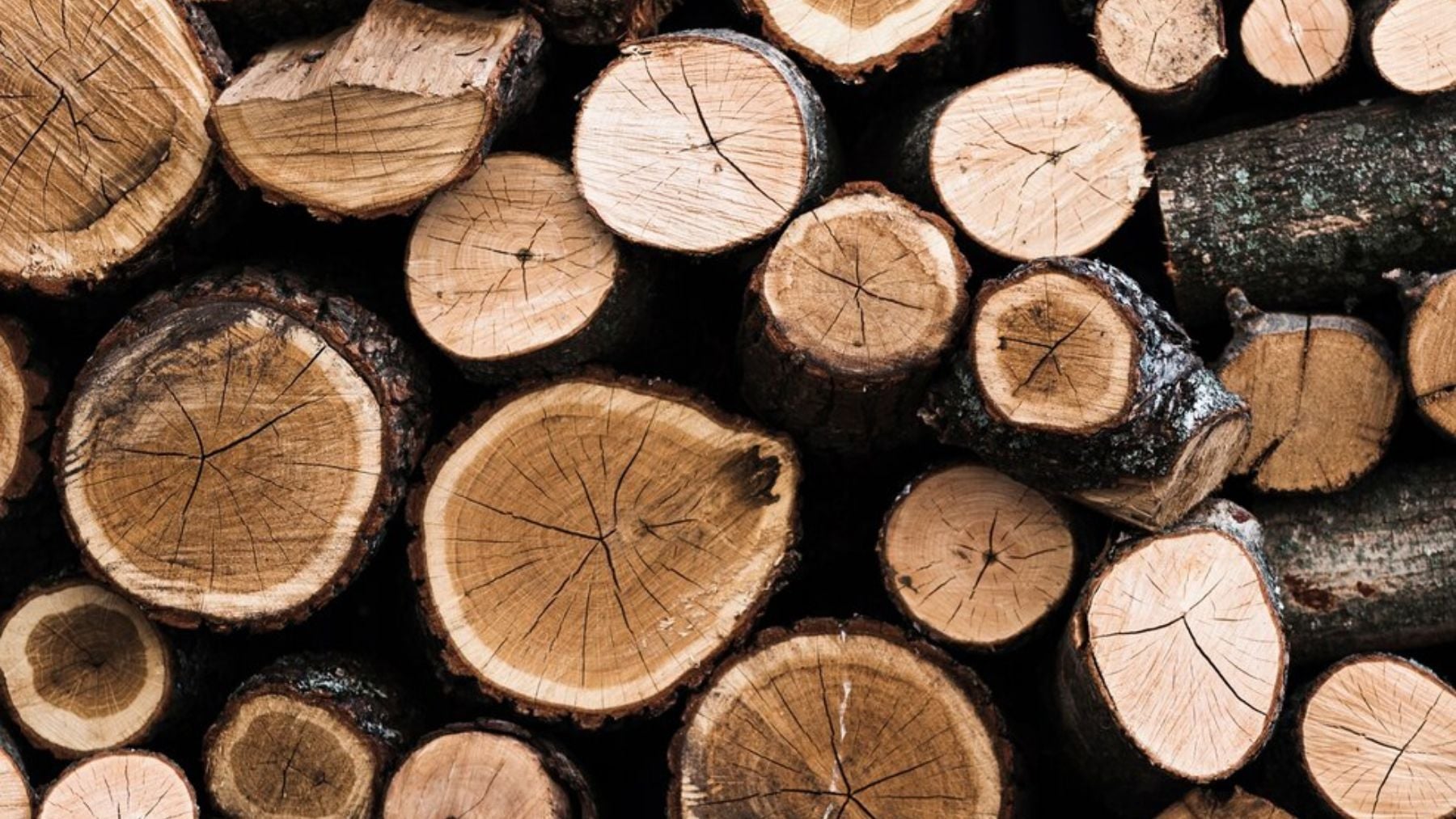 Finlandia ha roto todas las normas: recicla madera y residuos agrícolas para conseguir el primer supercondensador renovable del mundo