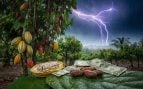 La ola de calor pone en alerta a la economía: El ‘Niño’ amenaza con reavivar la inflación alimentaria mundial