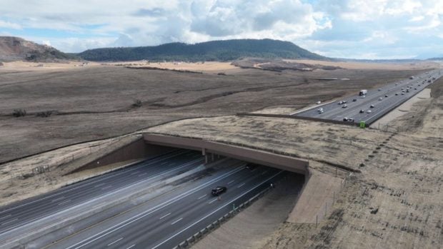 Paso elevado de Greenland. Foto: CDOT. 
