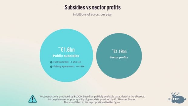 Subsidios frente a beneficios del sector pesquero. Imagen: Bloom.