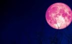 astrónomos acontecimiento